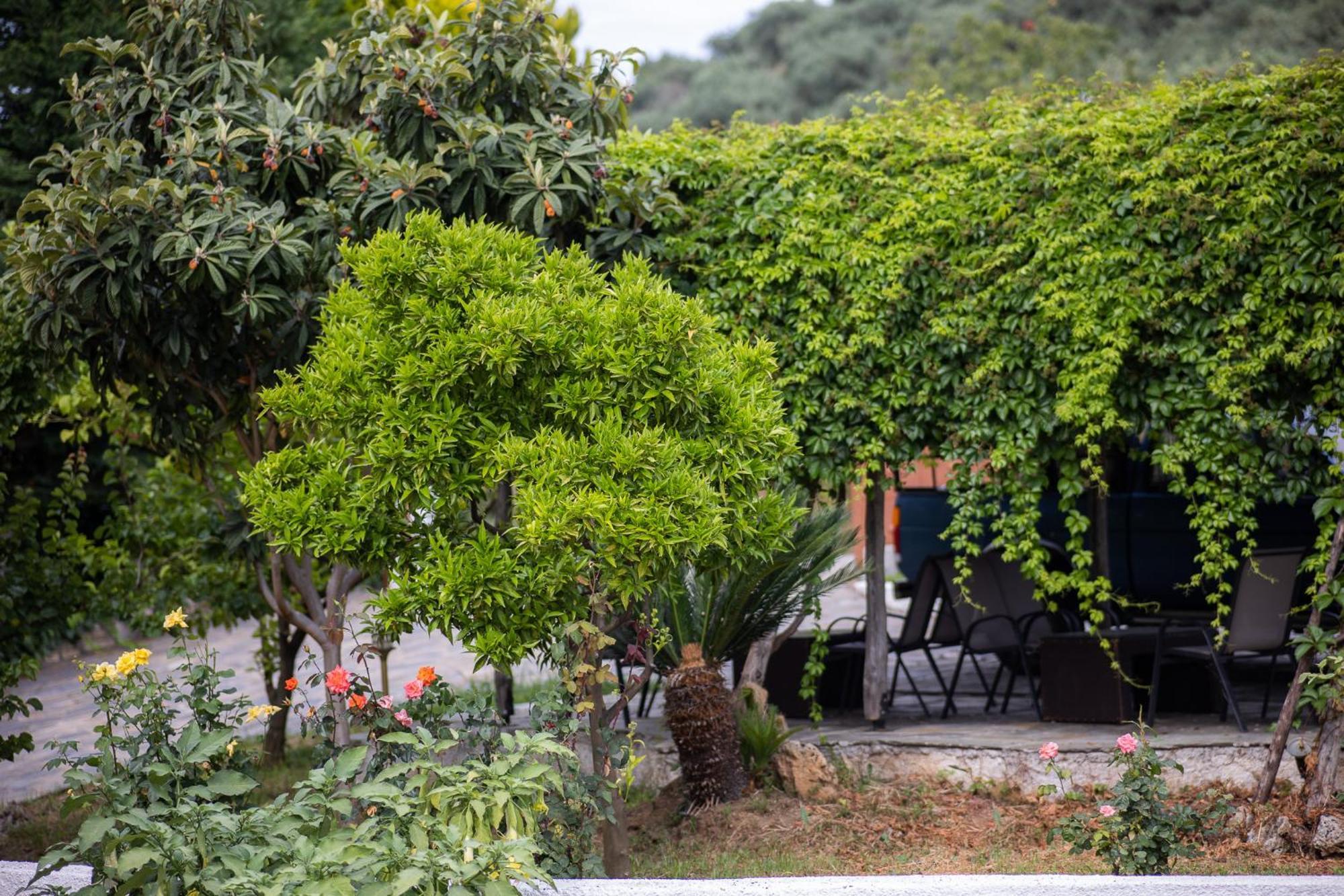 Seralis Pelion Afissos Exterior foto